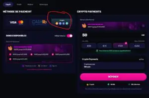 Capture d'écran dépôt crypto Wildzy (étape 1)