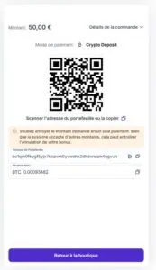 Capture d'écran dépôt crypto Wildzy (étape 3)