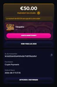 Capture d'écran dépôt crypto Wildzy (étape 4)