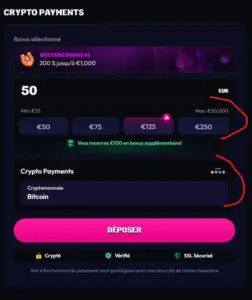 Capture d'écran tuto dépôt crypto Wildzy (étape 2)