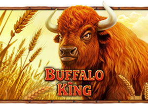 Buffalo King