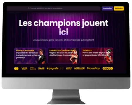 Interface sur ordinateur iWild