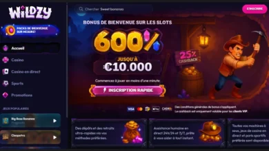 inscription wildzy &eacute;tape 1