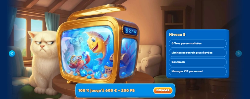 programme vip spinfin casino