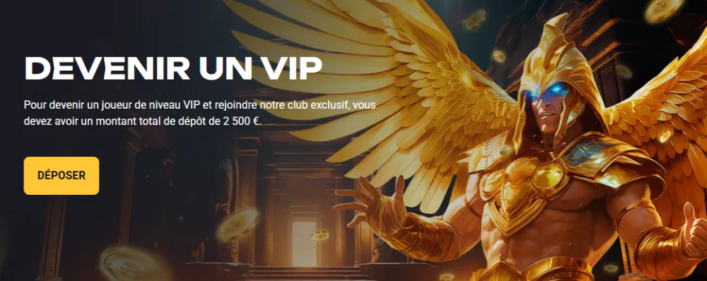 programme vip amonbet
