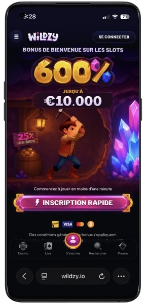 interface mobile wildzy suisse